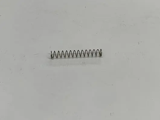 Small metal coil spring.