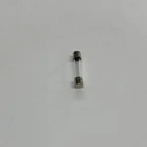 Glass automotive fuse.