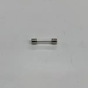 Glass automotive fuse.