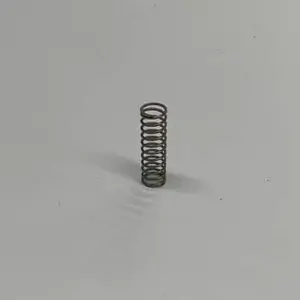 Small metal coil spring.