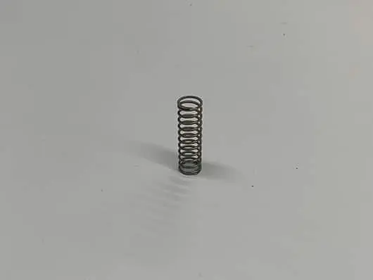 Small metal coil spring.
