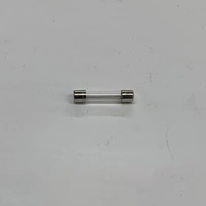 Glass automotive fuse.