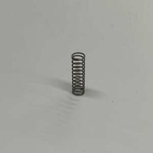 Small metal coil spring.